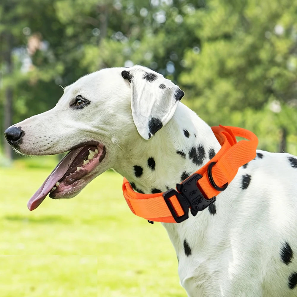 Tactical Dog Collar with Handle