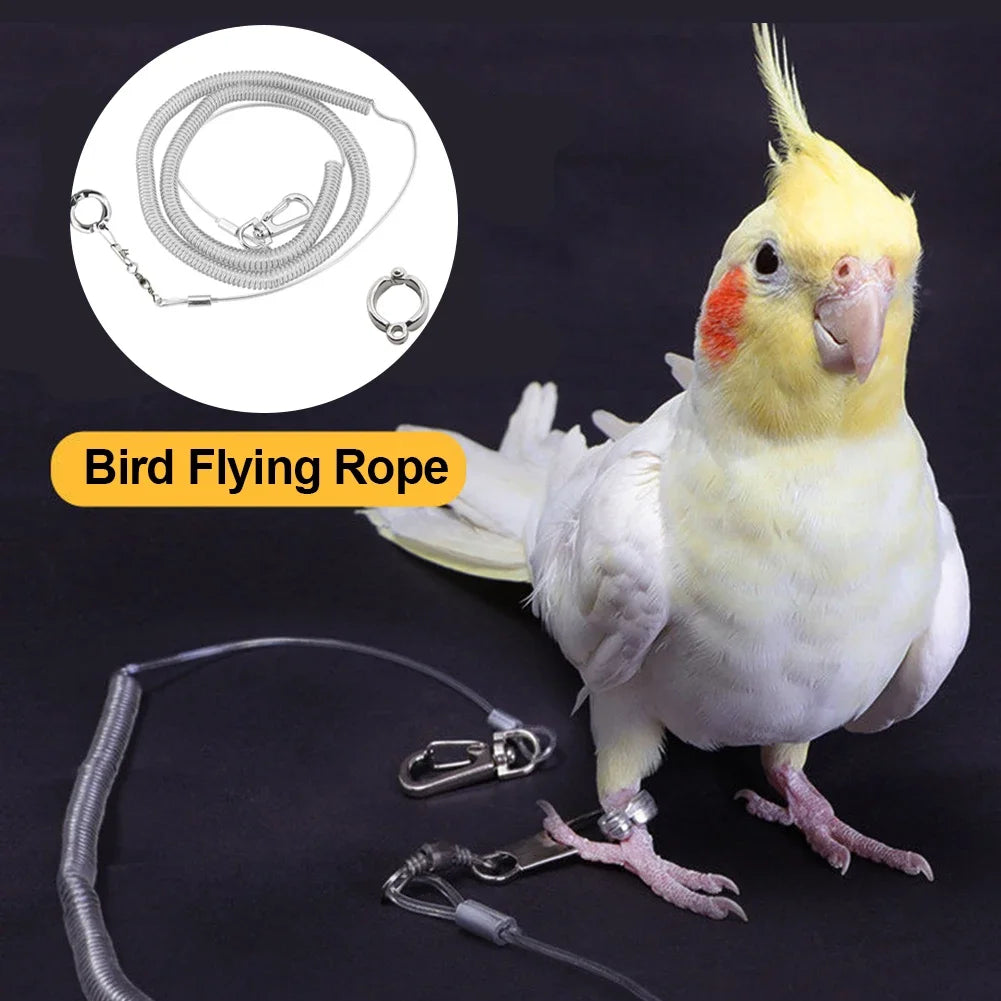 3M/6M Parrot Flying Training Leash