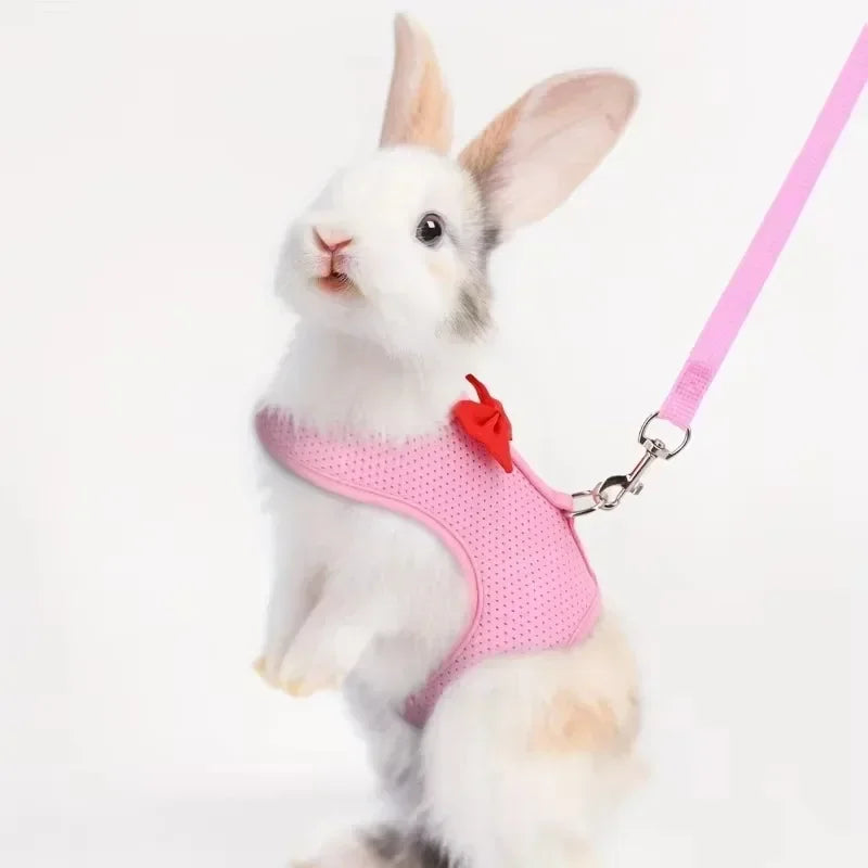 Adjustable Bunny Harness and Leash Set