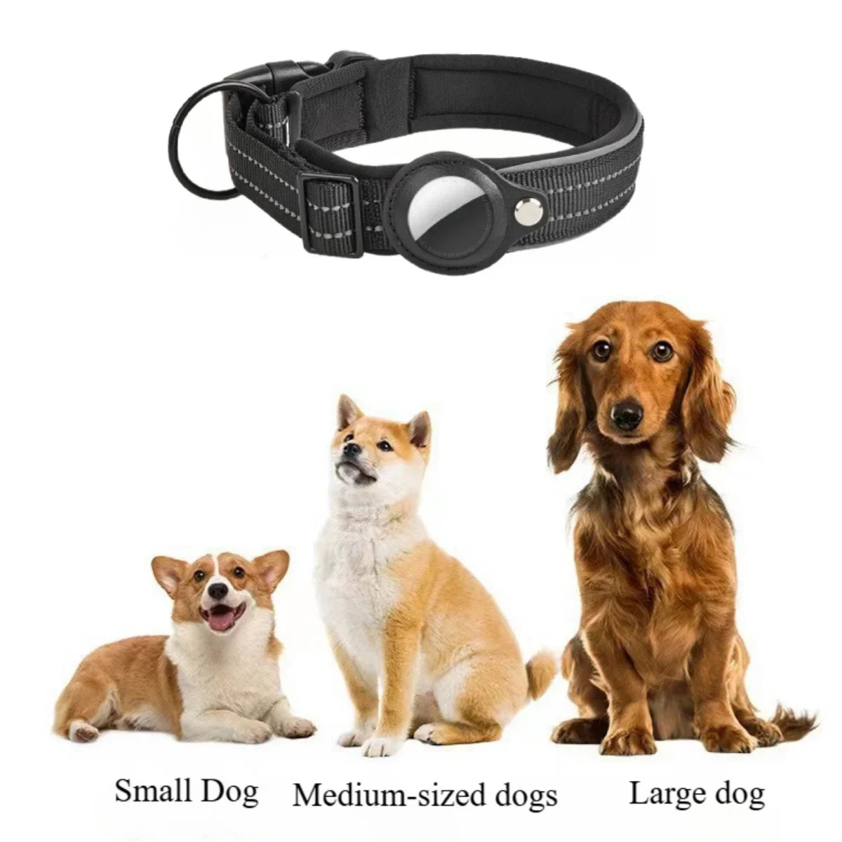 Reflective AirTag Dog Collar - Padded, Adjustable