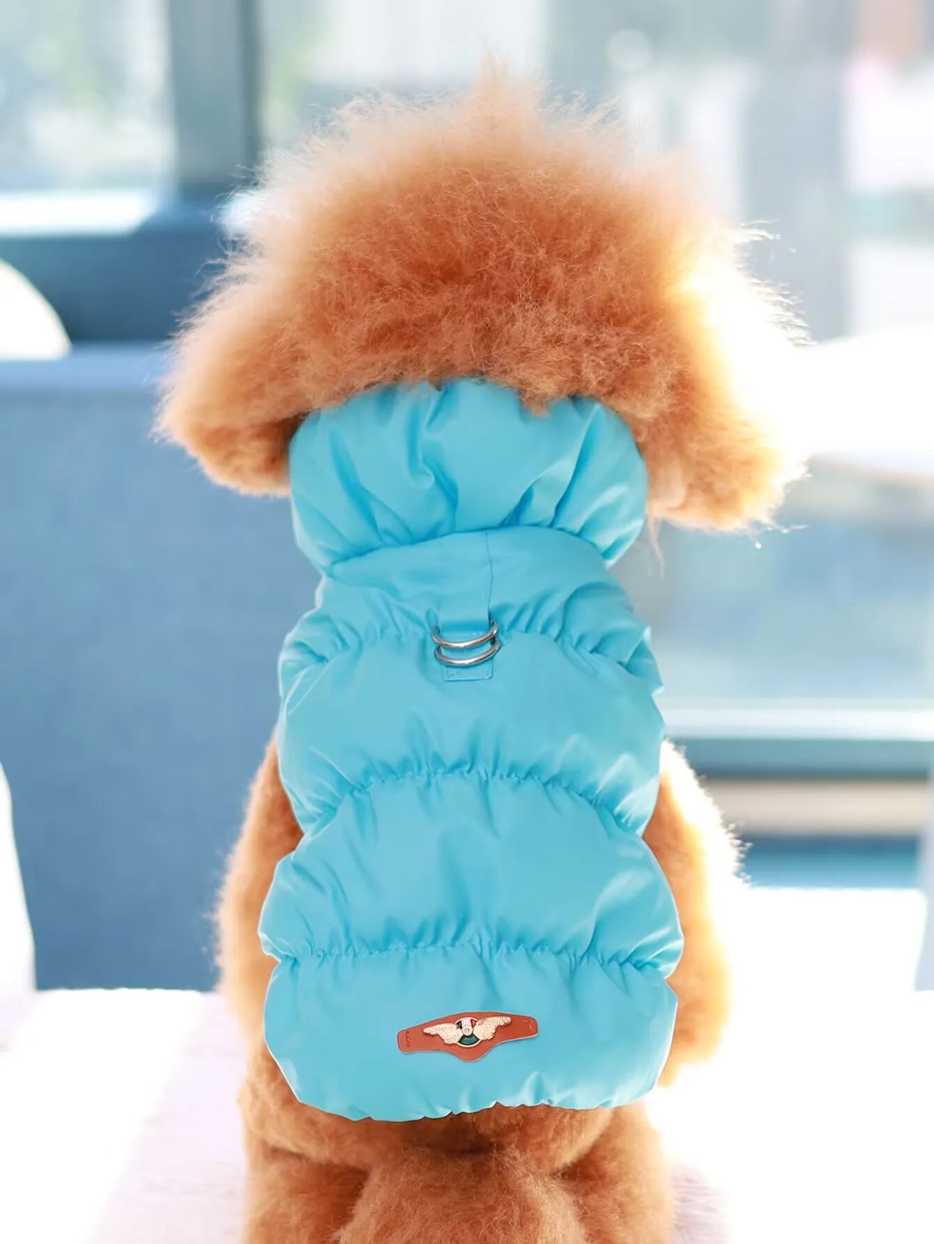 Dog Jacket – 3-Layer Warm Pet Coat