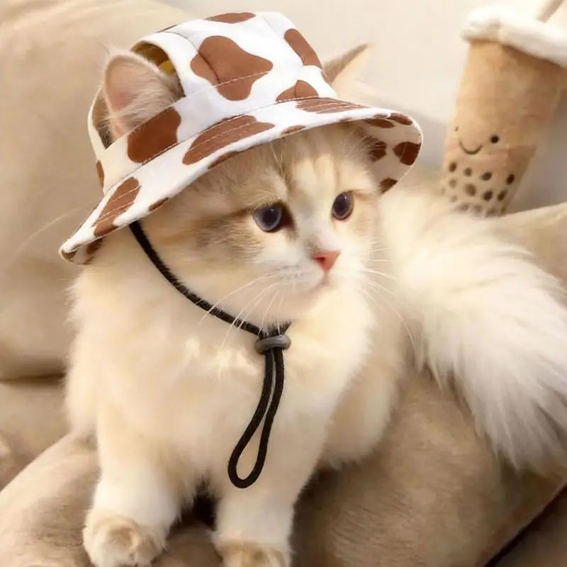 Cat Sun Hat with Ear Holes