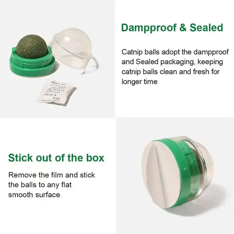 Cat Toy Wall Stick-on Ball with Catnip
