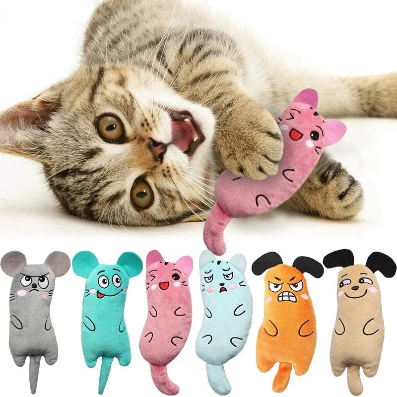 Catnip Plush Toy for Kittens