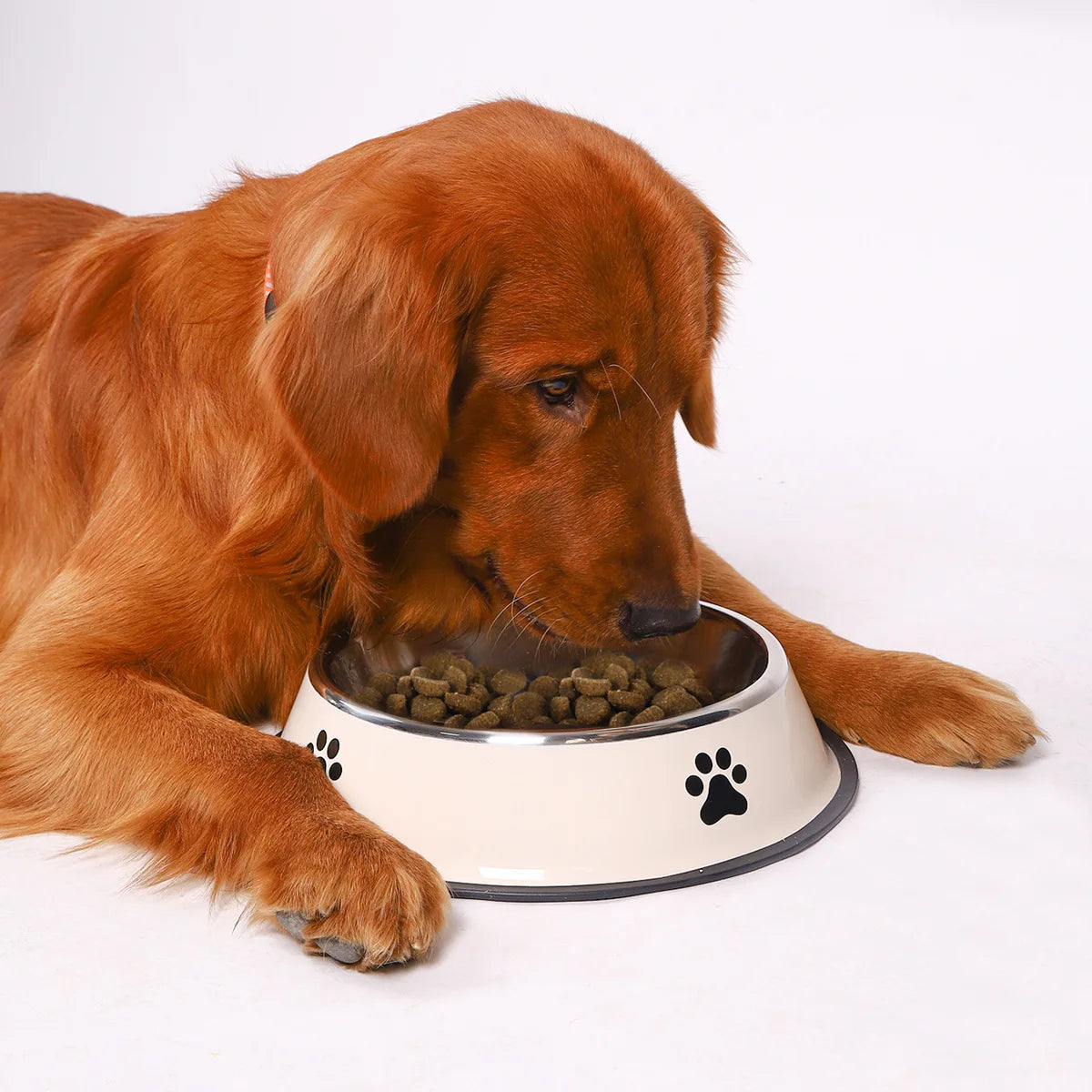 Stainless Steel Pet Bowl - Large Capacity