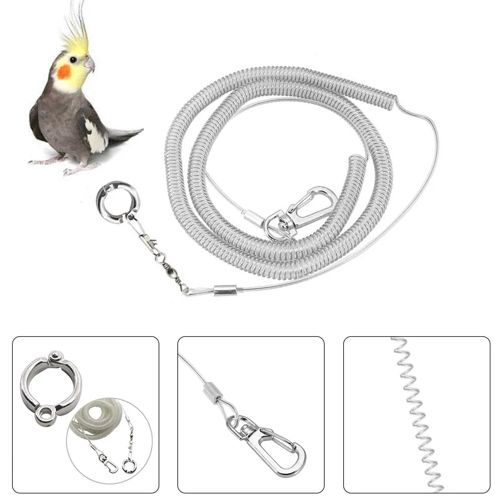 3M/6M Parrot Flying Training Leash
