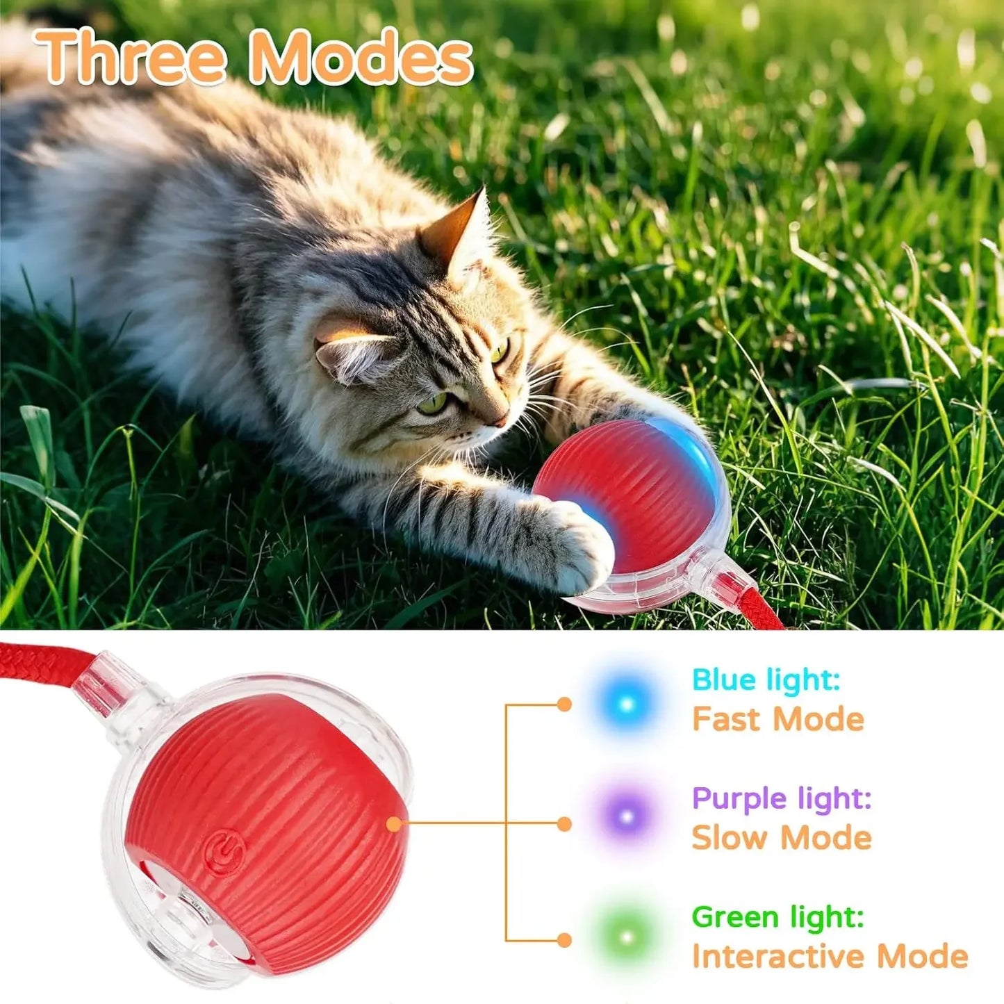 Interactive Cat Ball Toy