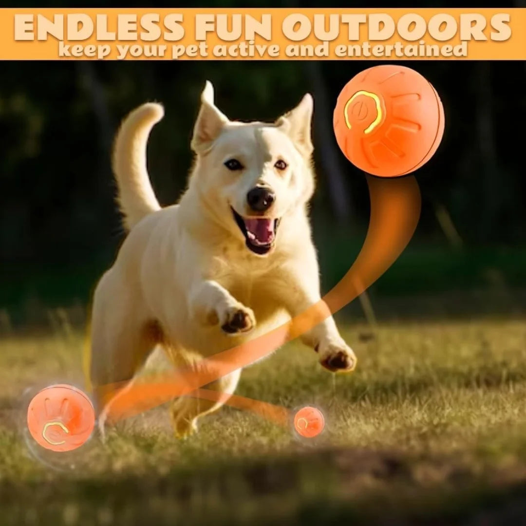 Pet Ball Smart Bouncing Ball For Dogs and Cats