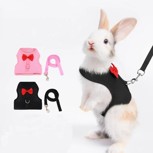 Adjustable Bunny Harness and Leash Set
