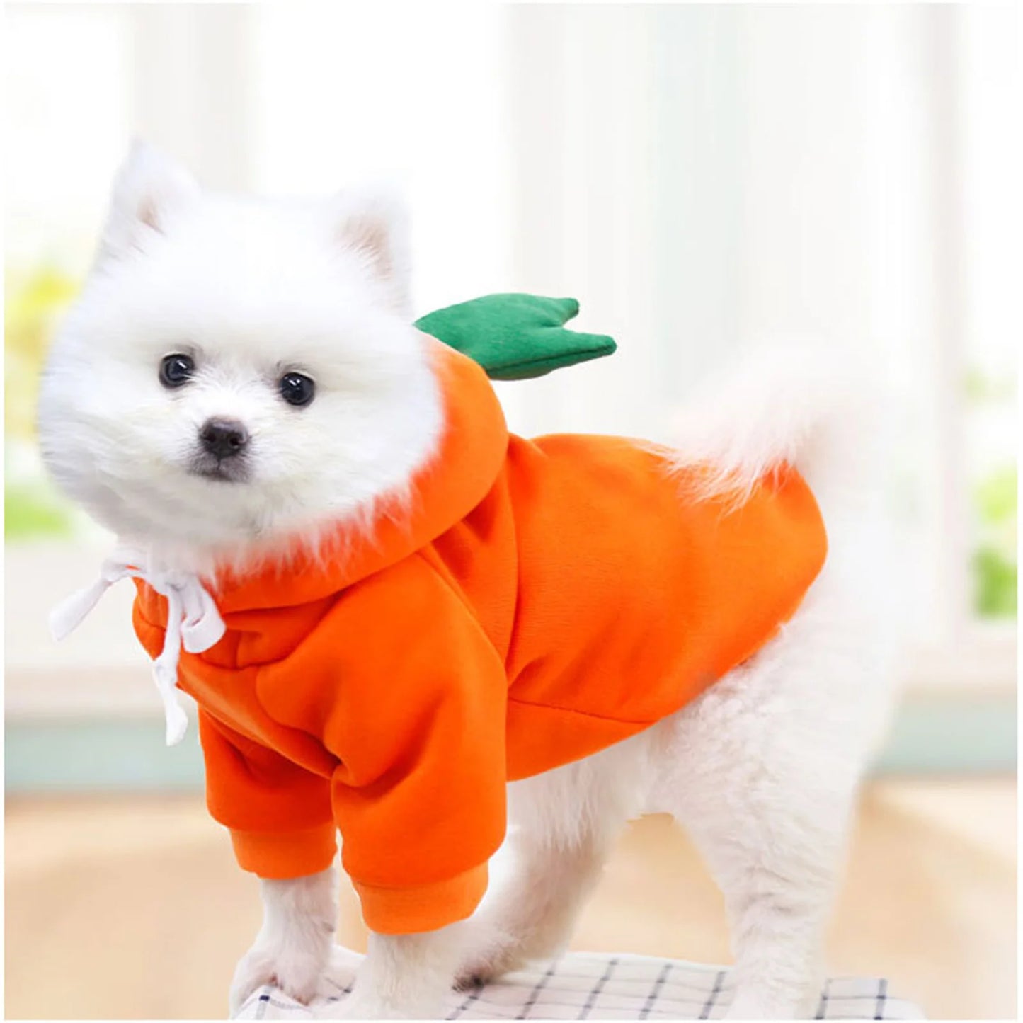 Dog Hoodie - Cute Carrot Frog Fleece Coat