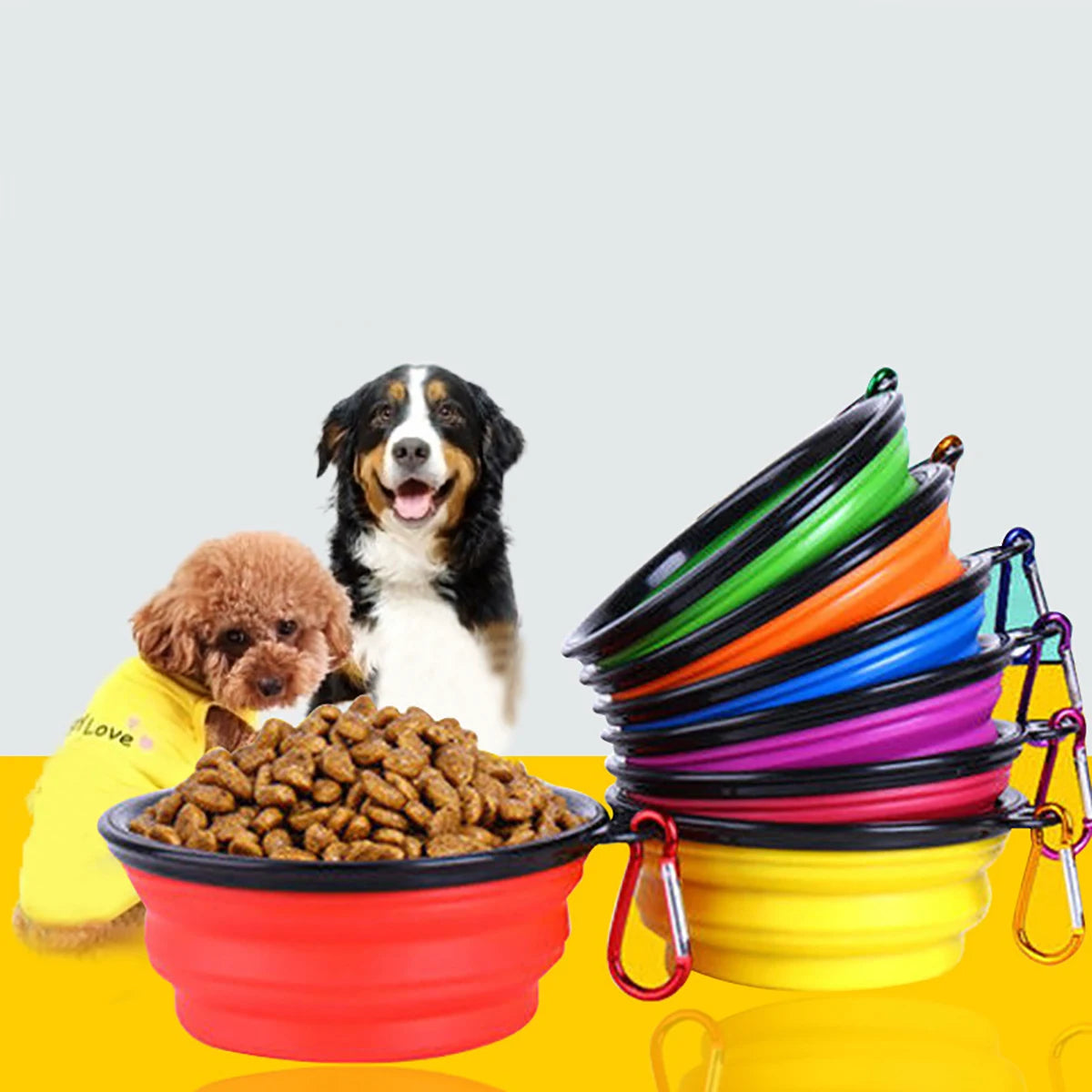 Collapsible Silicone Dog Bowl with Carabiner