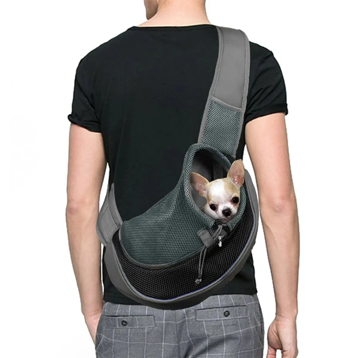 Breathable Mesh Pet Backpack for Small Breeds
