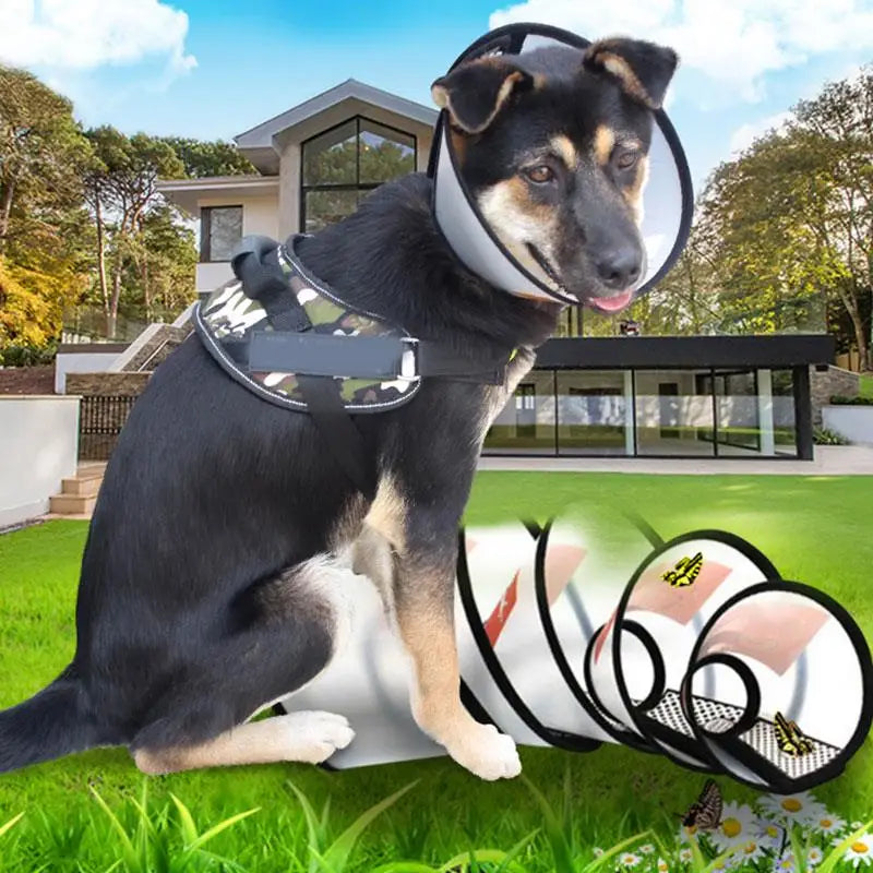 Elizabeth Anti-Bite Pet Dog Collar