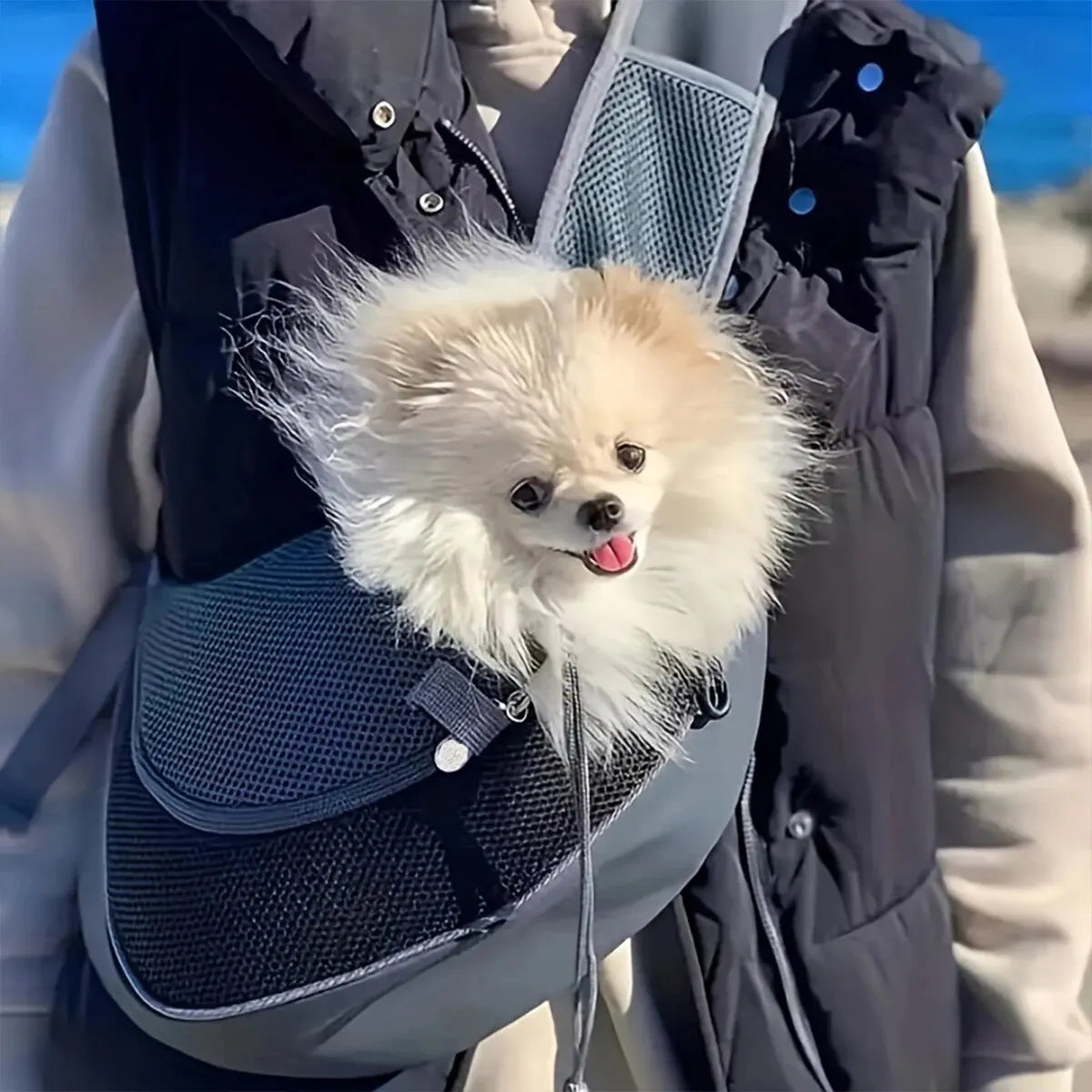 Breathable Mesh Pet Backpack for Small Breeds