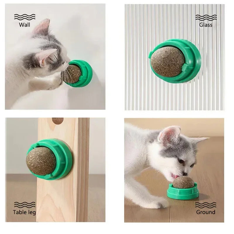 Cat Toy Wall Stick-on Ball with Catnip
