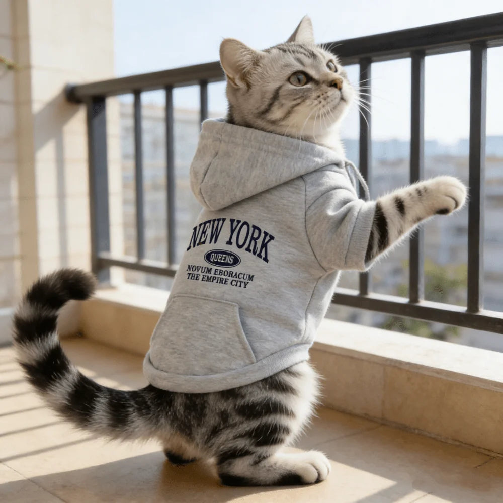 Letter Printed Dog Hoodie, Pocket Pet Sweatshirt for Small Medium Dogs Cats