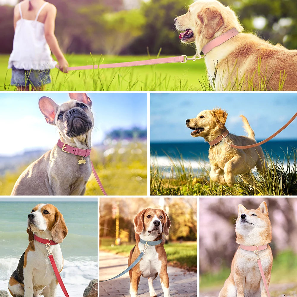 Soft Padded PU Leather Dog Collar Leash Set