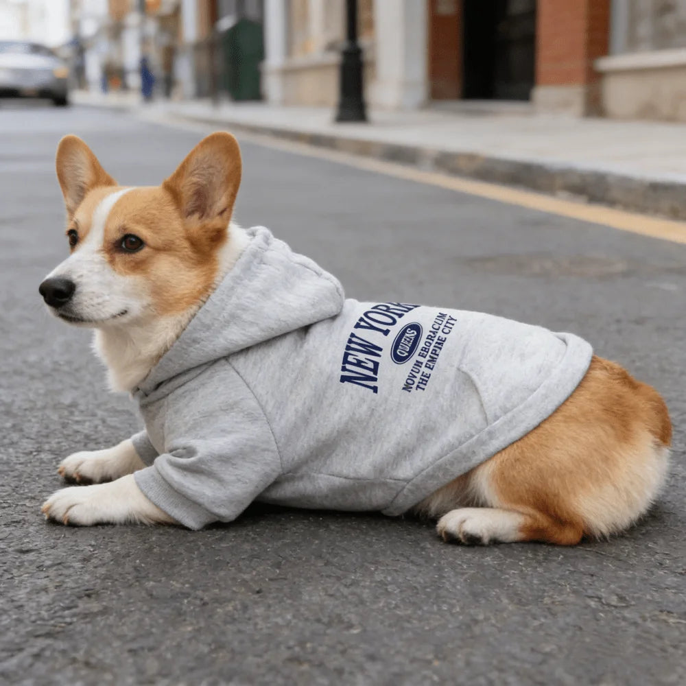 Letter Printed Dog Hoodie, Pocket Pet Sweatshirt for Small Medium Dogs Cats
