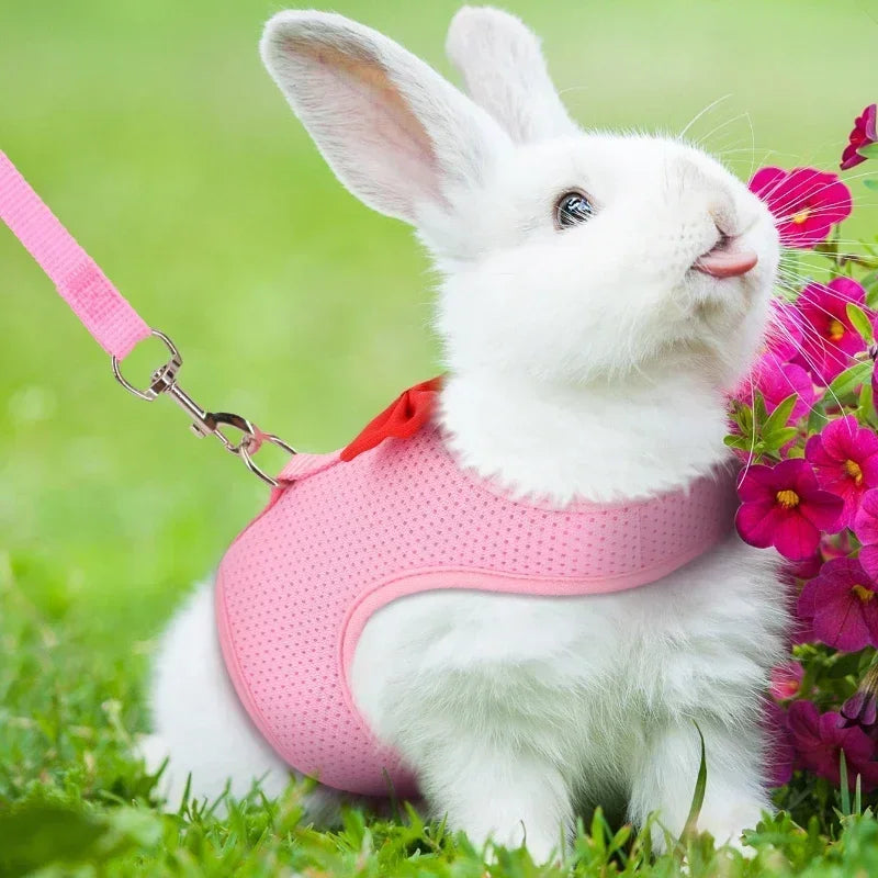 Adjustable Bunny Harness and Leash Set
