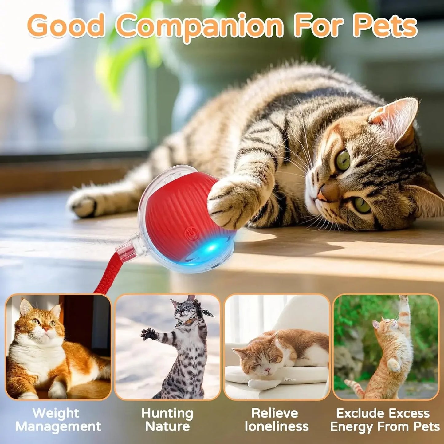 Interactive Cat Ball Toy