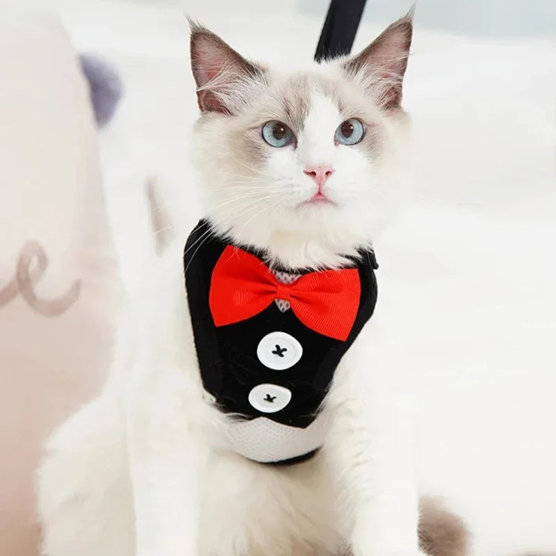 Elegant Bowtie Dog Harness Vest Set