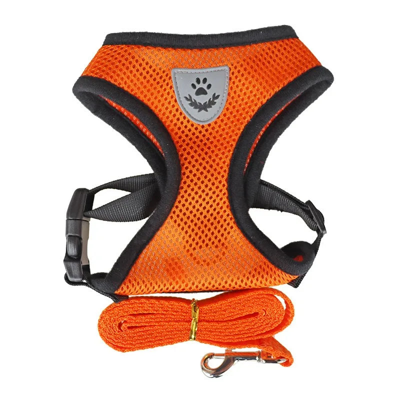 Cat Leash and Harness Set - Anti Escape Pet Vest