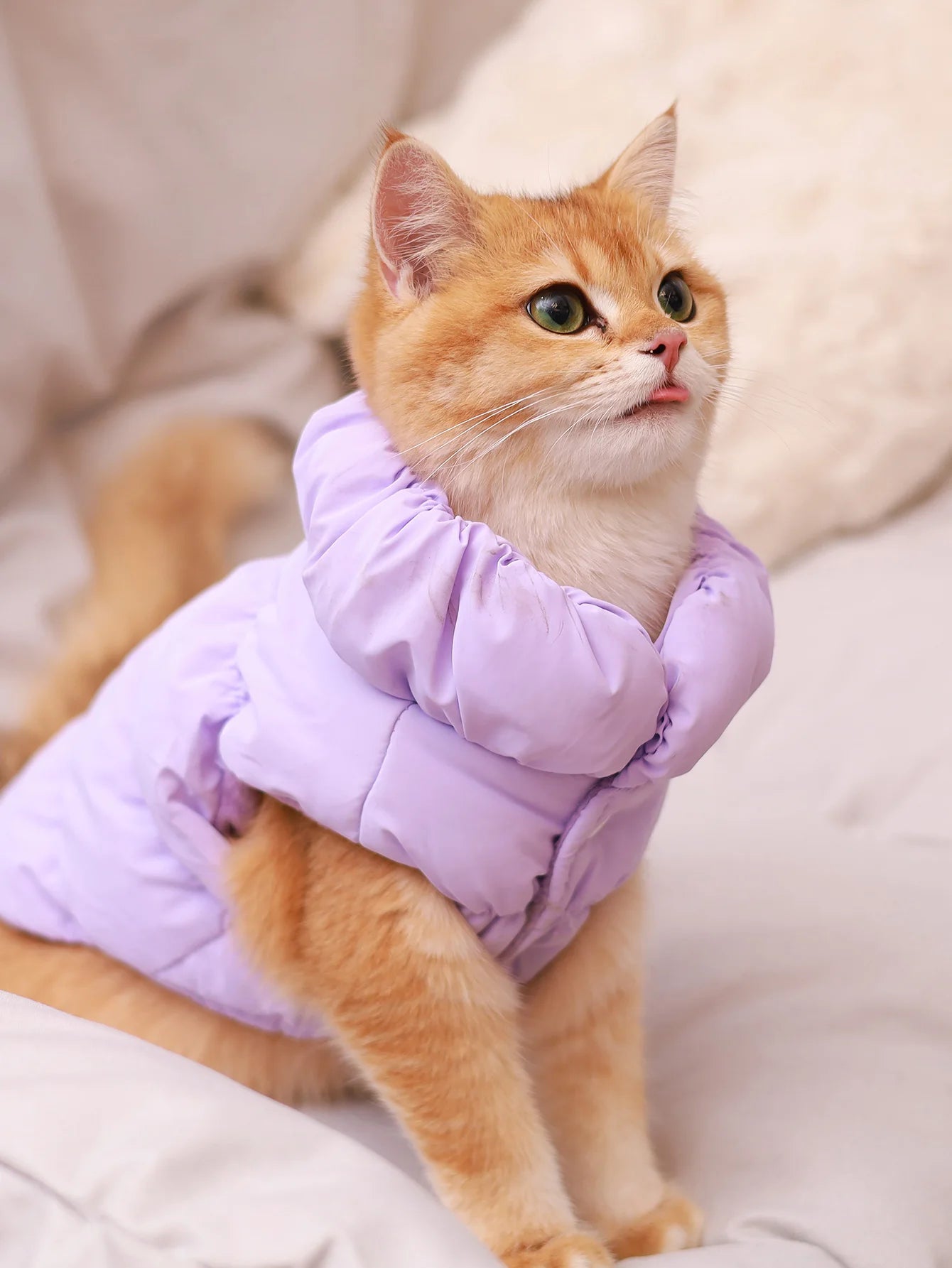 Dog Jacket – 3-Layer Warm Pet Coat