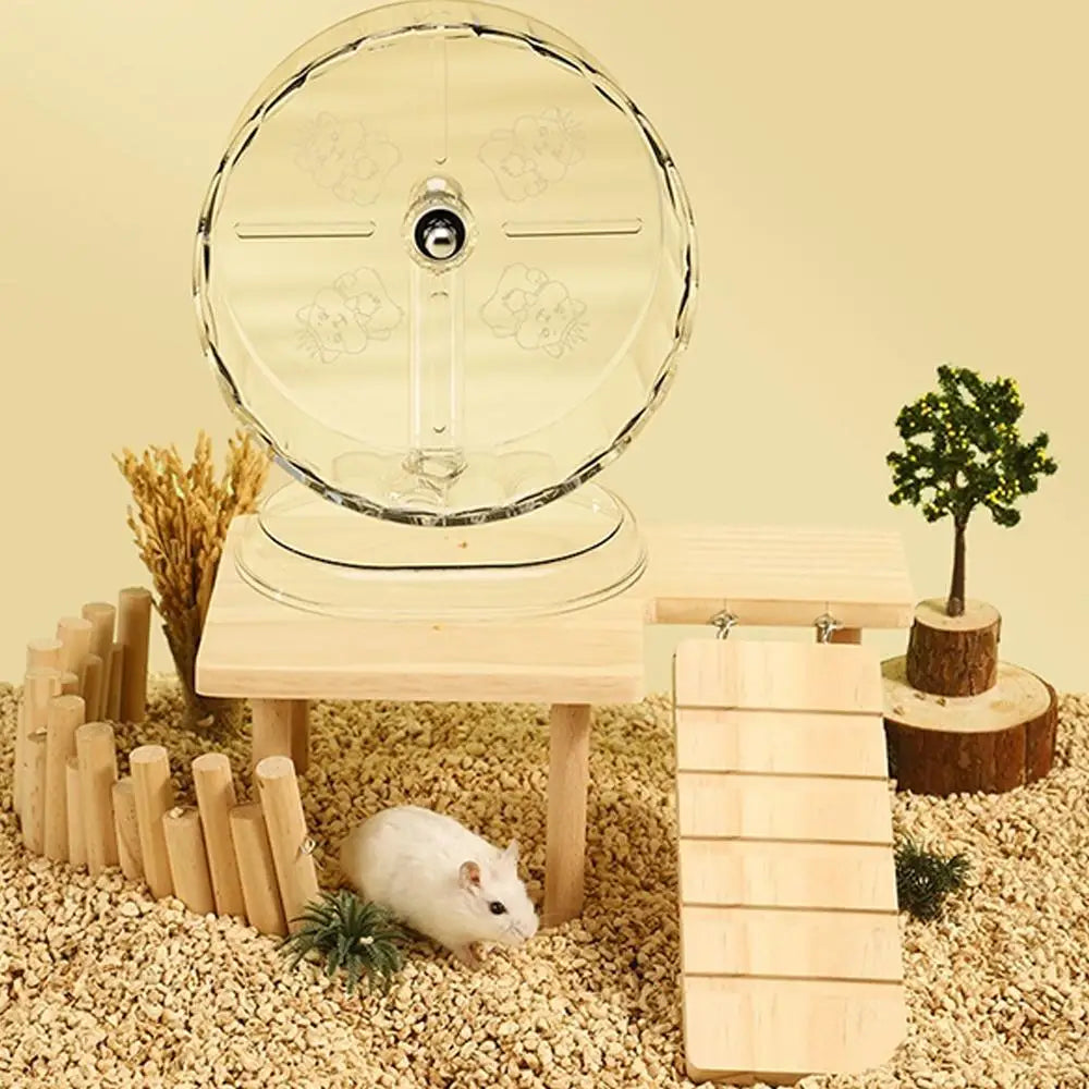 Hamster Running Wheel Transparent Silent