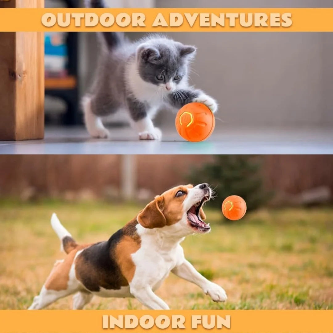 Pet Ball Smart Bouncing Ball For Dogs and Cats