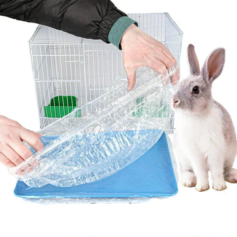 10pcs Pet Tray Disposable PE Films