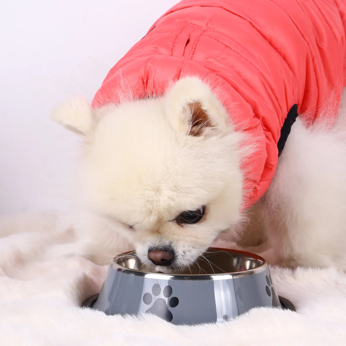 Stainless Steel Pet Bowl - Large Capacity