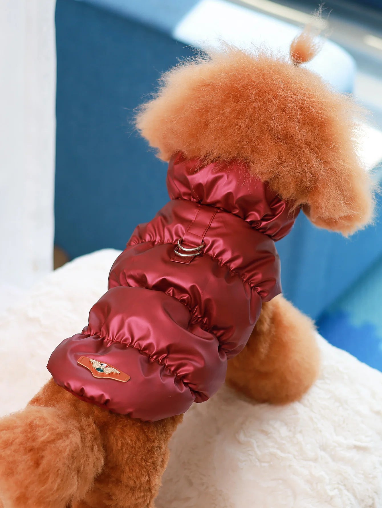 Dog Jacket – 3-Layer Warm Pet Coat