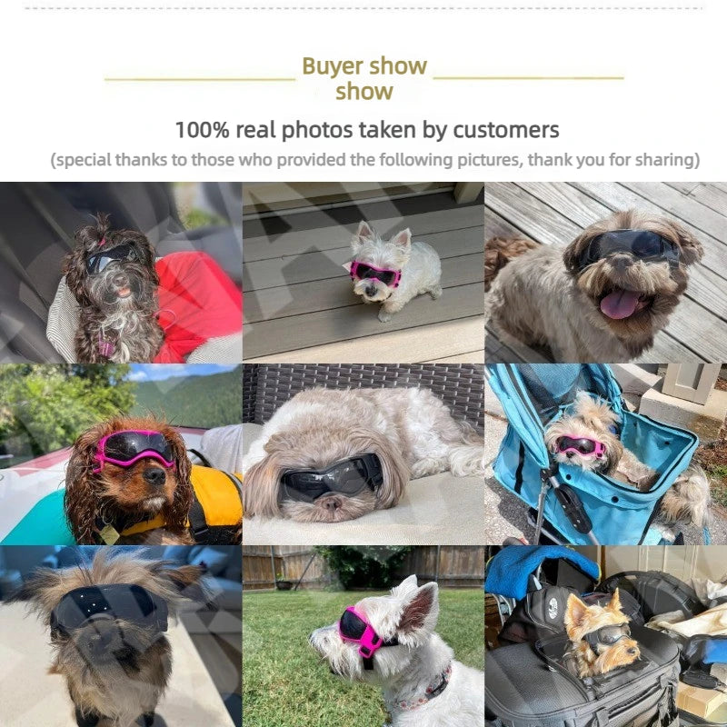 DKSTINYE UV Protective Dog Sunglasses for Small Pets by High Life Style Gadgets