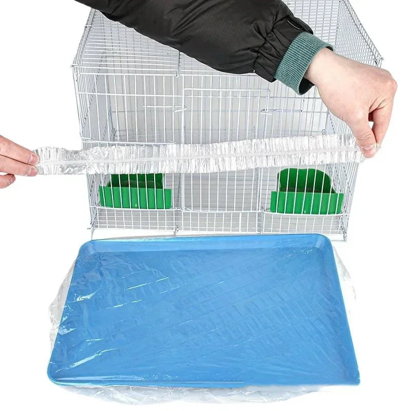 10pcs Pet Tray Disposable PE Films