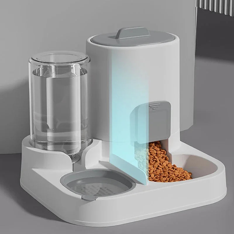 2-in-1 Pet Feeding & Water Bowl