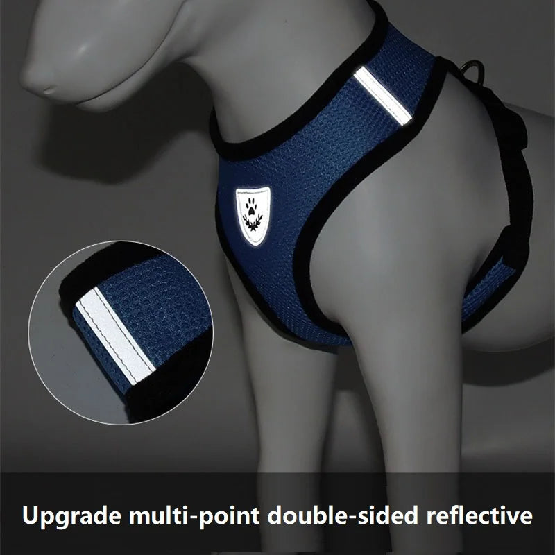 Cat Leash and Harness Set - Anti Escape Pet Vest