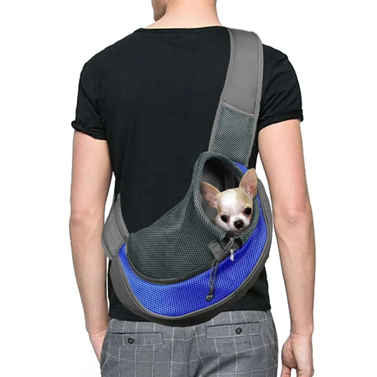 Breathable Mesh Pet Backpack for Small Breeds