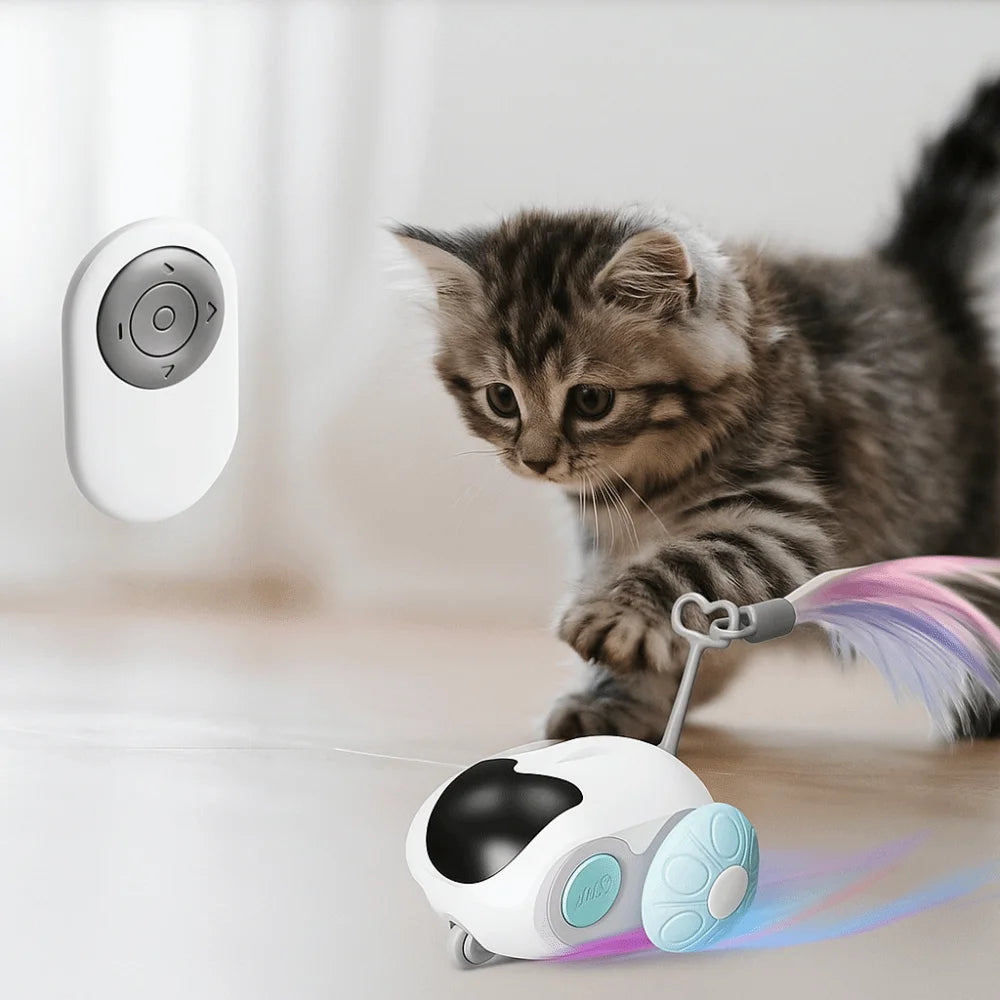 Rechargeable Automatic Cat Toy