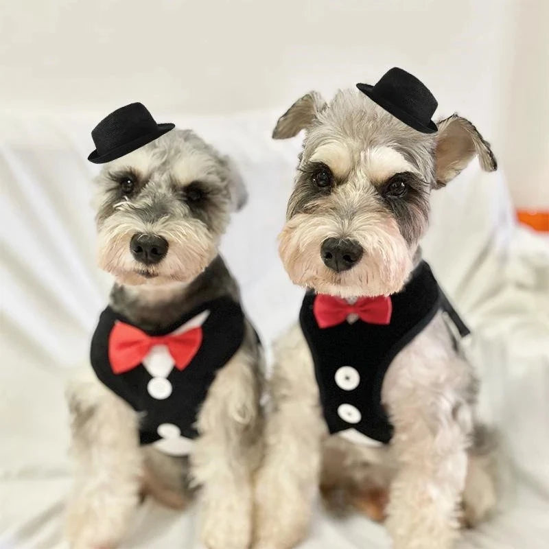 Elegant Bowtie Dog Harness Vest Set