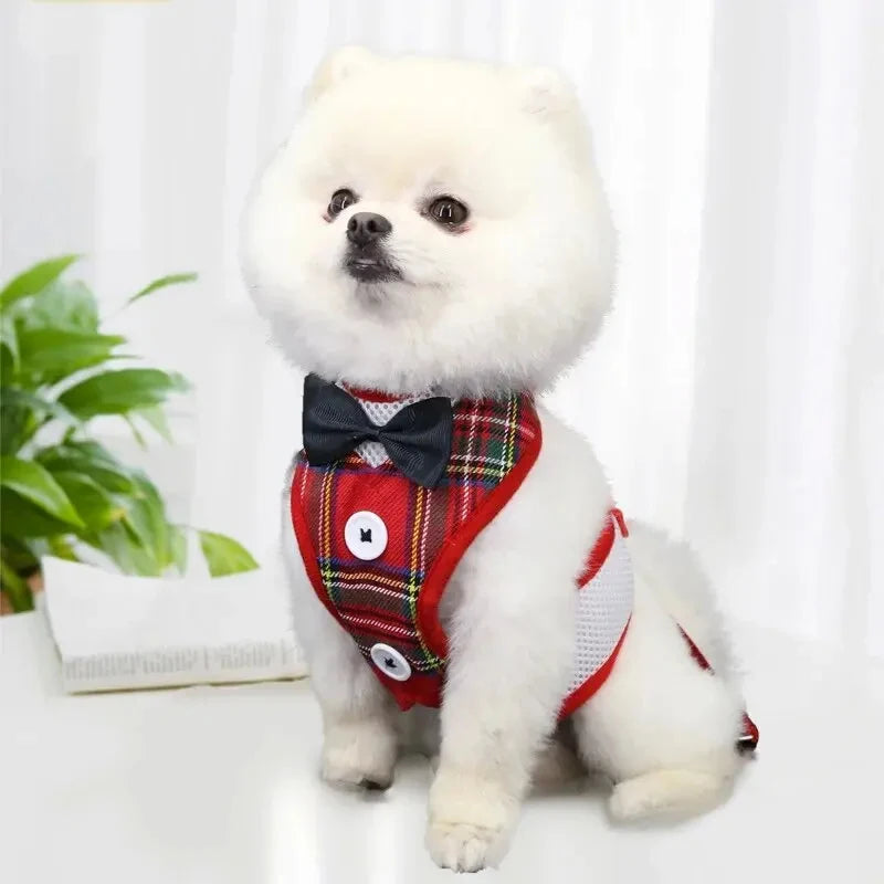 Elegant Bowtie Dog Harness Vest Set