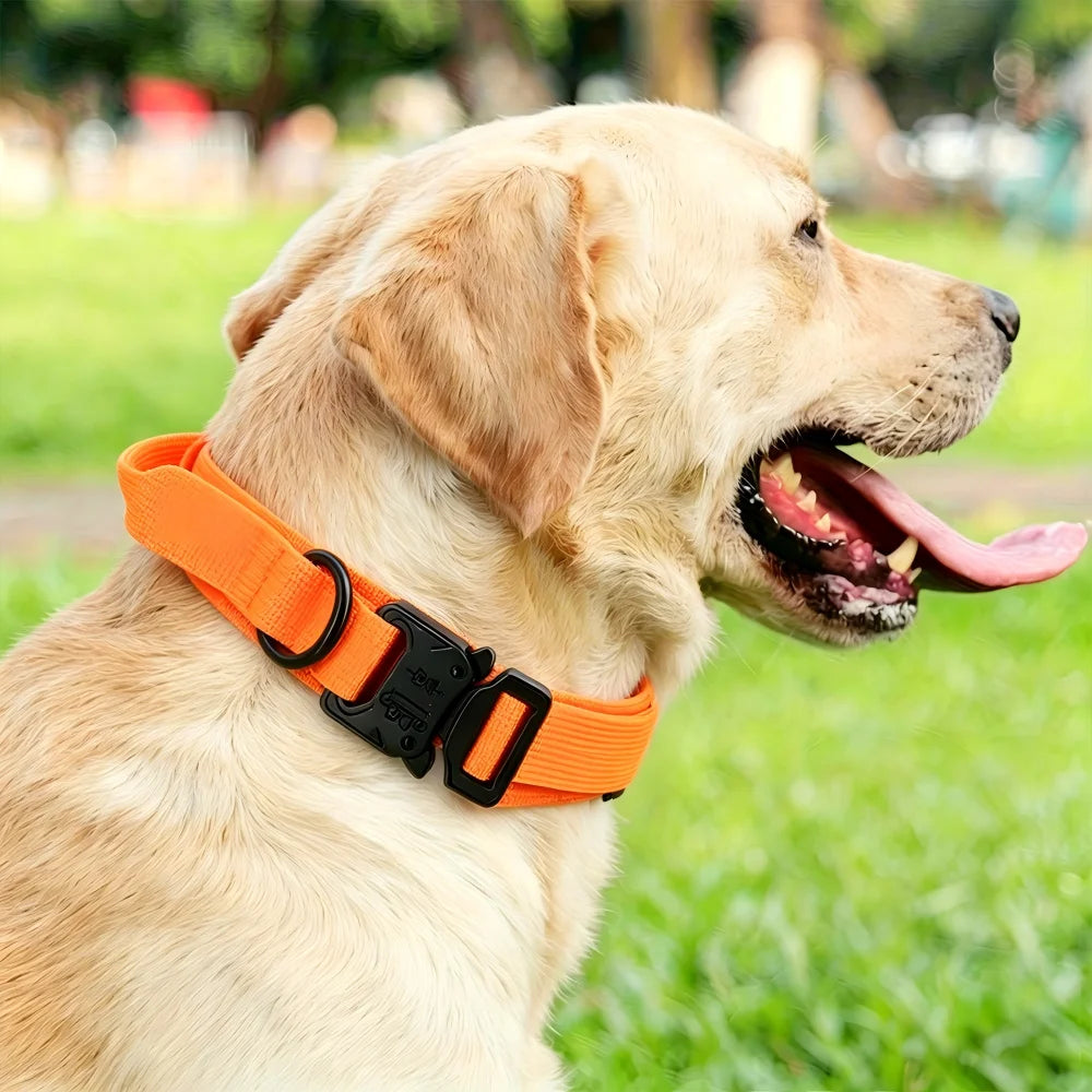Tactical Dog Collar with Handle