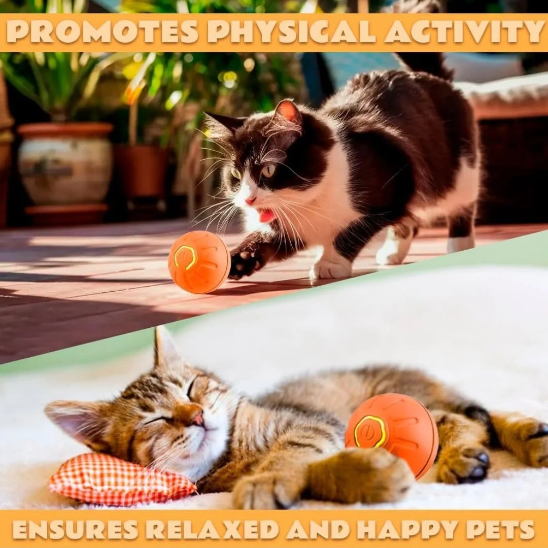 Pet Ball Smart Bouncing Ball For Dogs and Cats