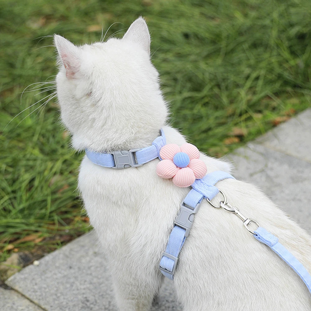 LANGXINGCS Adjustable Dog Harness & Leash Set