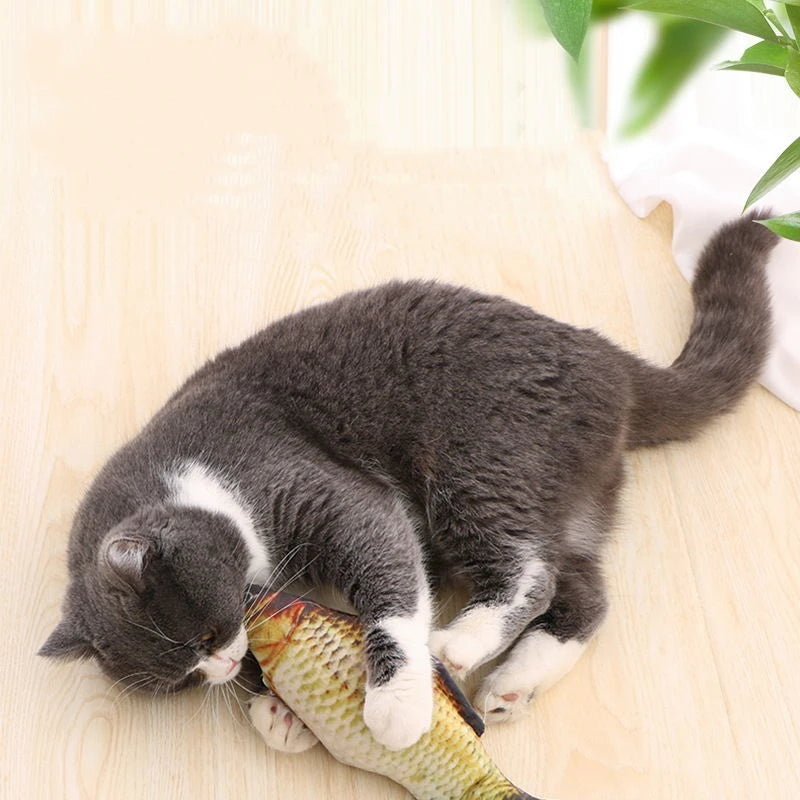 3D Cat Toy Fish Plush with Catnip