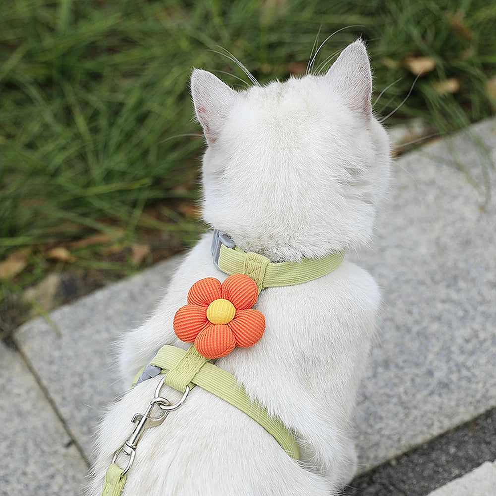 LANGXINGCS Adjustable Dog Harness & Leash Set