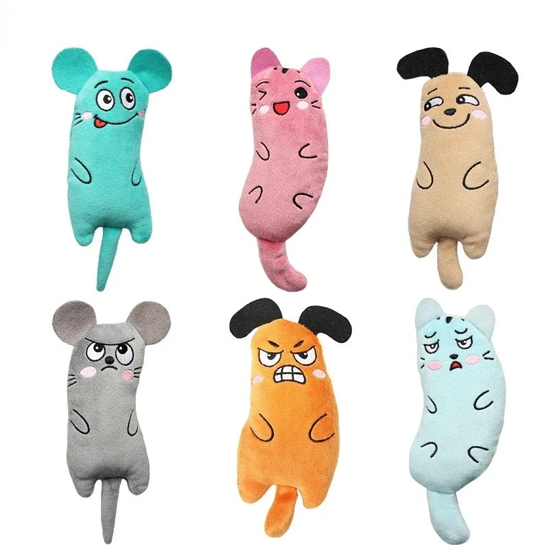 Catnip Plush Toy for Kittens