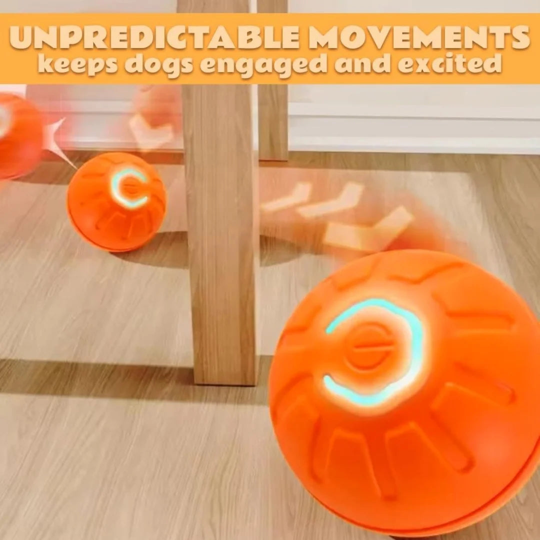 Pet Ball Smart Bouncing Ball For Dogs and Cats