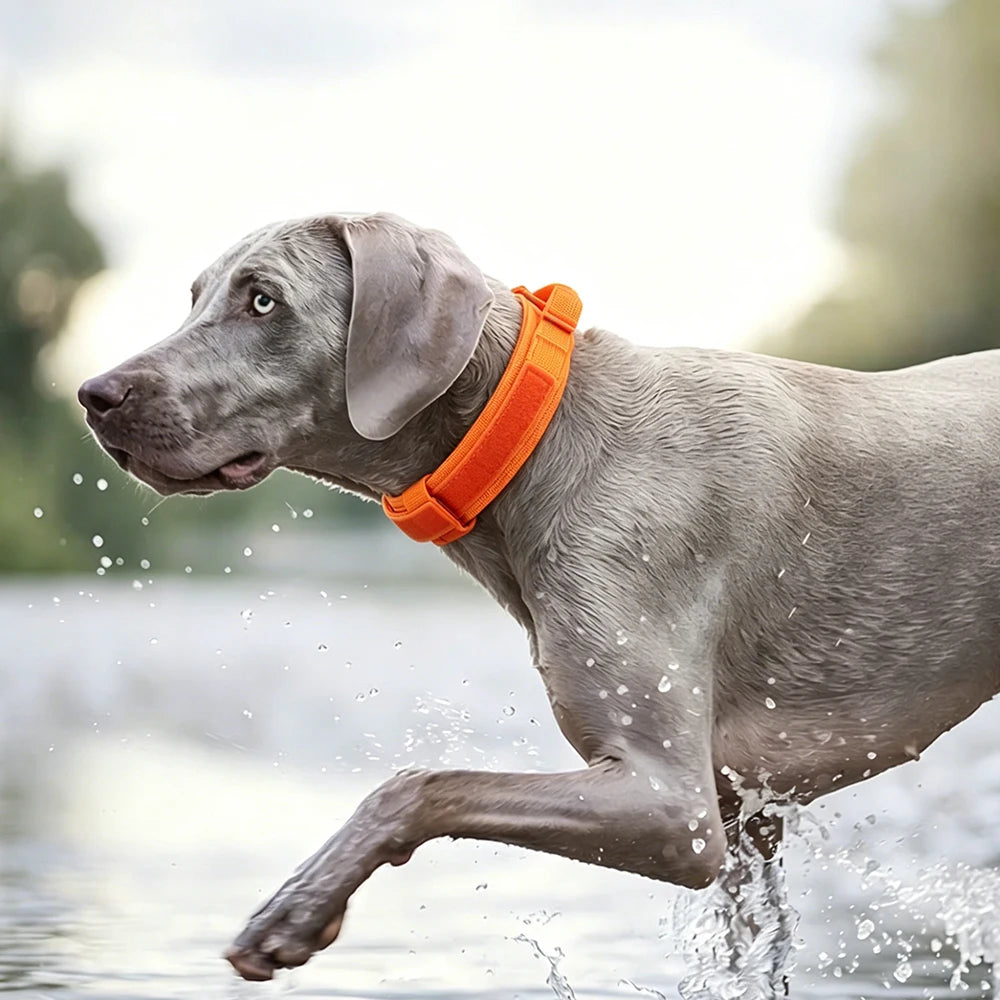 Tactical Dog Collar with Handle