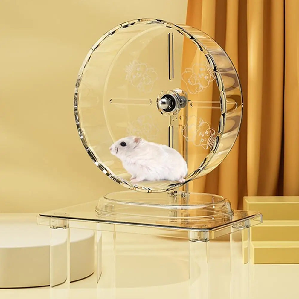 Hamster Running Wheel Transparent Silent