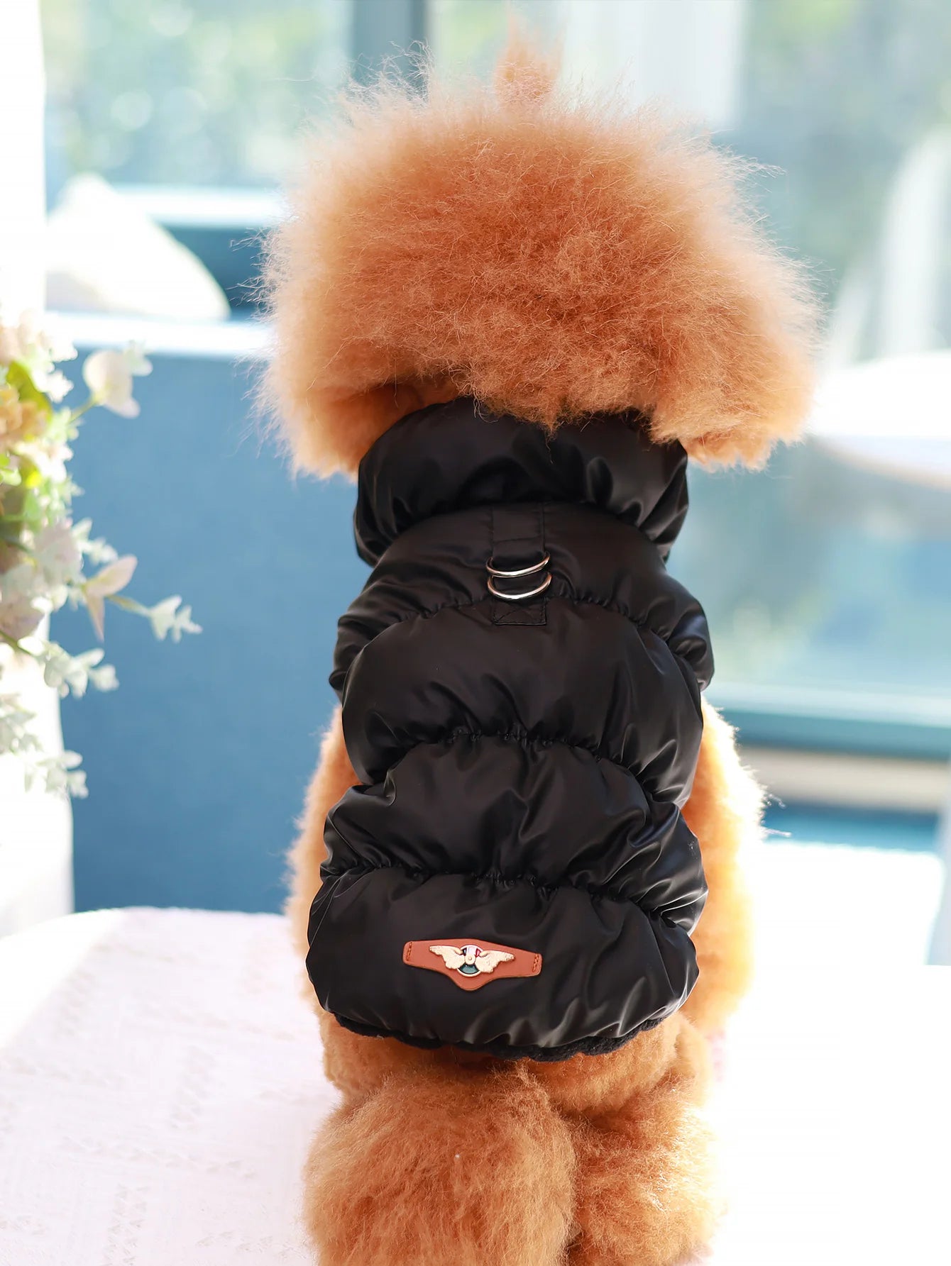 Dog Jacket – 3-Layer Warm Pet Coat